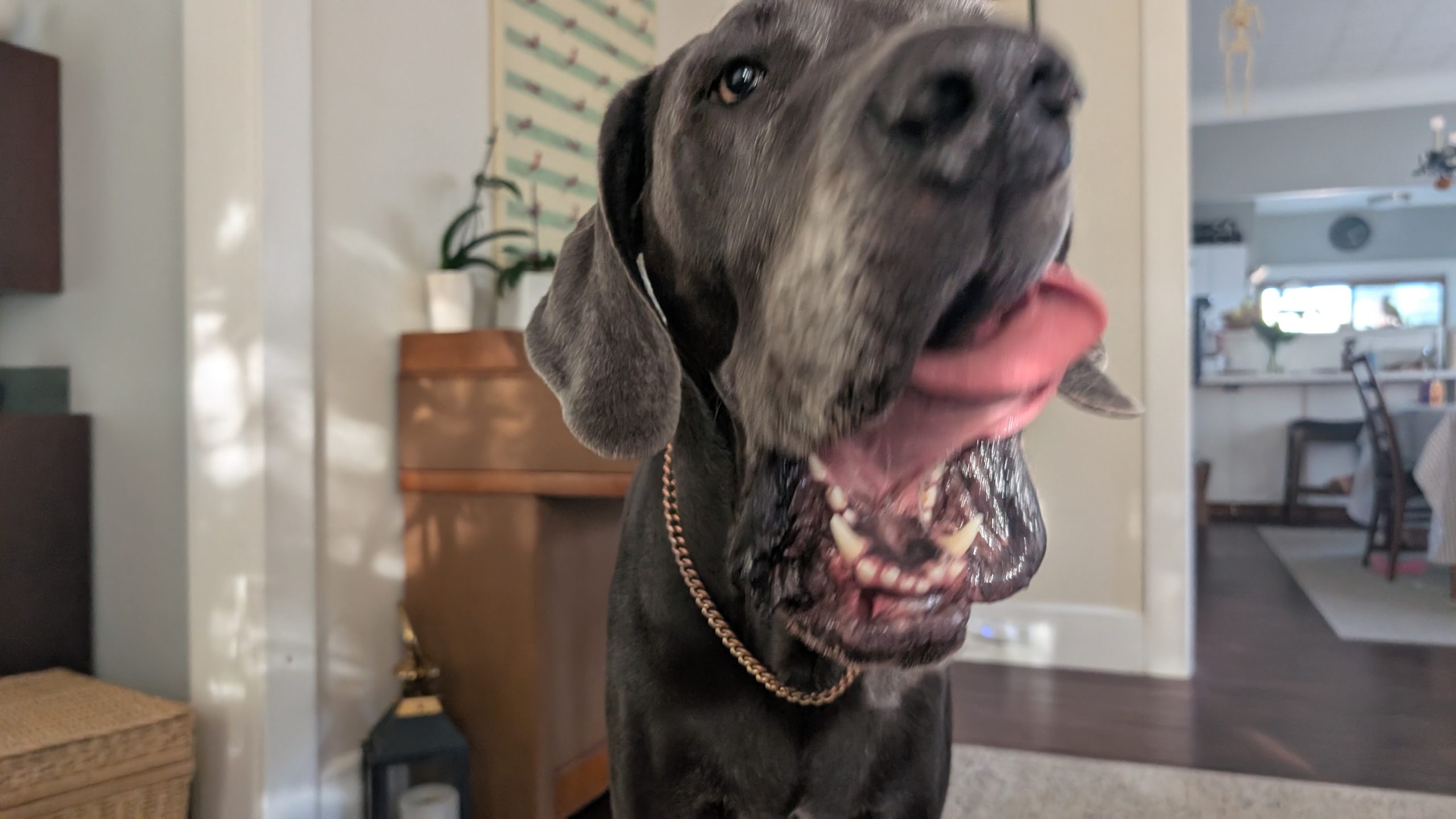 PXL_20250928_001159306